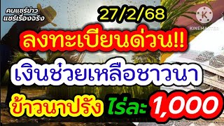 แจ้งข่าวชาวนา ลงทะเบียนด่วน! เงินช่วยเหลือชาวนาข้าวนาปรัง ไร่ละ 1,000