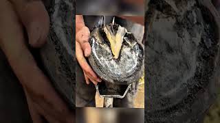 The horse cried because the horse's toenails were damaged  #horse #horsehoof #asmr #satisfying #hoof