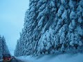 the harz forest germany