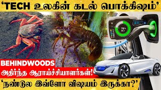 நண்டால் காரையே ஓட வைக்க முடியுமா? 'இது சாதாரணது இல்ல' அறிவியல் உலகின் அடுத்த அதிசயம்