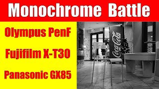 Monochrome: Fujifilm X-T30 vs Olympus PenF vs Panasonic GX85 ep.231