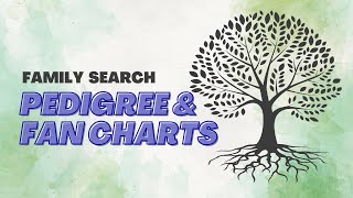How to use the Pedigree and Fan Charts in Family Search