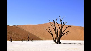 普世佳音每日箴言靈修2018年7月20日