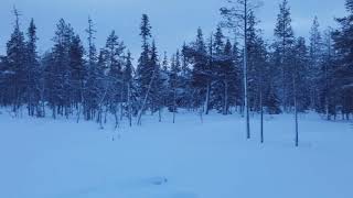 KESÄNKIJÄRVI,LAPPI,YLLÄS.