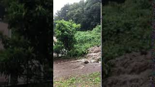 町田市相原町台風19号土砂崩れ3