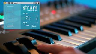 strum | max for live