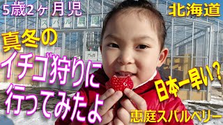 【お出かけ】5歳2ヶ月児 真冬のイチゴ狩りに行ってみたよ