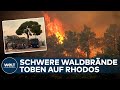 FEUERCHAOS AUF RHODOS: Evakuierung von über 10.000 Menschen auf griechischen Ferieninsel