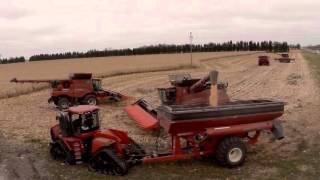 Sproule Farms - Harvest