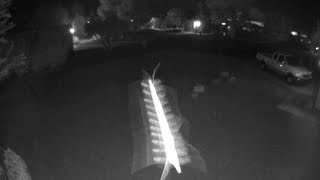 Flying Centipede Caught on video?