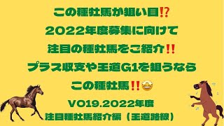 【一口馬主】必見‼️2022年募集に備えよう！青田買いしたい種牡馬3頭🐴（王道路線編）