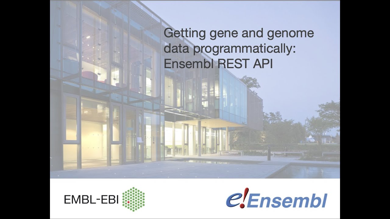 Getting Gene And Genome Data Programmatically Ensembl REST API - YouTube