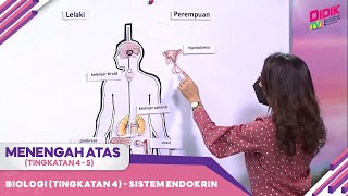 Menengah Atas (Tingkatan 4 - 5) | Biologi (Tingkatan 4) - Sistem Endokrin