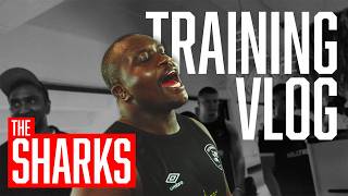 Two-Day Training Vlog with the Sharks 🦈