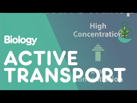 What is diffusion osmosis active transport?