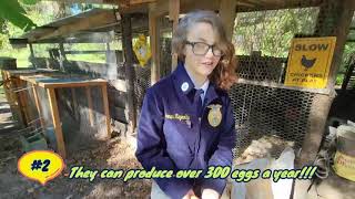 Hannah Reynolds 2022 ffa market video