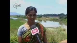 Flood threat for villagers living close to Nagavali and Vamsadhara rivers