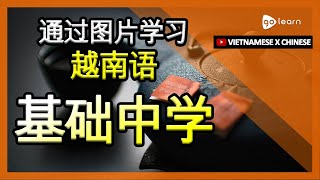 通过图片学习越南语|越南语词汇基础中学 | Golearn