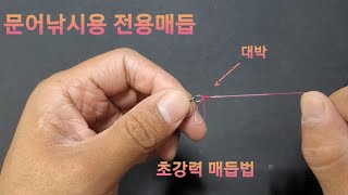 문어낚시를 할때 주로쓰는 강한매듭 ..이거 한가지면 도래 매듭 종결~!!