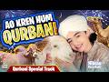 Bakra Eid Kalam 2026 - Ao Karen Hum Qurbani - Nibras Raza Qadri - Qurbani Special Track