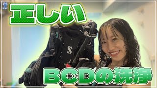 【ダイビング器材】あなたのBCDは綺麗に洗えてる？【BCD洗い方/ダイビング/ダイビング女子】