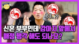 [Eng sub] 신혼 부부인데 강아지 앞에서 애정 행각 해도 되나요?｜강형욱의 소소한 Q\u0026A