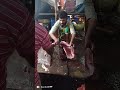 চাচির কাছ থেকে মাছটি সম্পর্কে জানলাম video fishing fishcutting fishpreparation