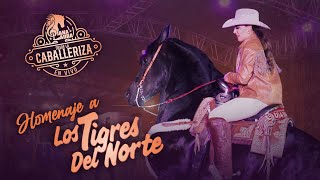 Diana Laura - Homenaje a Los Tigres del Norte (Video Oficial)