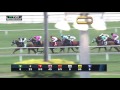 RACE REPLAY: 2017 Dania Beach Stakes Featuring Made You Look