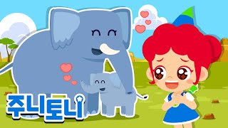 엄마 동물들 | 누구보다 너를 위하고 사랑하는 엄마의 마음❤ | 가족동요 | 동물동요 | 동물의 왕국 | 주니토니 | JunyTony