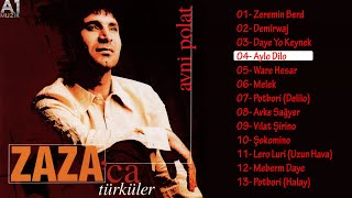 Avni Polat - Aylo Dilo