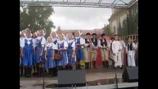 Michalský jarmok 2014 Kopaničiarik - Na Myjave jarmek býva