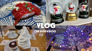 【vlog】冬の札幌旅行でまち歩き✈️ ｜回転寿司、イルミネーション、クリスマス【北海道】