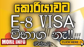 E8 Visa to Korea: Everything You Need to Know | කොරියාවට E-8 VISA 2025