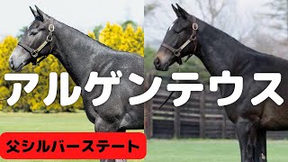 ノーザンファーム生産のアルゲンテウスがデビュー　父はシルバーステート鞍上は武豊騎手　3歳新馬戦メイクデビュー東京6R　1月29日