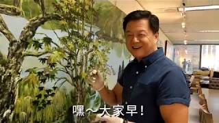 20190912【虎哥日常-富春山居圖第七彈】 輕鬆一下，來瞧瞧這幅五百號的畫作進度到哪了？小編感覺已經差不多了　（虎哥：還早～～）今天要來跟大家說說如何透過色彩、筆觸，來延伸畫面的空間感。