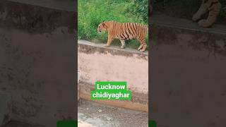 Lucknow chidiyaghar