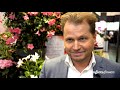 syngenta flowers head of business international juul van loon about new markets