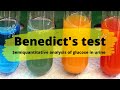 Urine Benedict's Test Procedure | Semiquantitative analysis of Glucose in urine