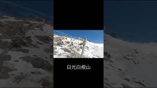 丸沼高原から春の日光白根山へ｜登山　丸沼高原スキー場から　#Shorts