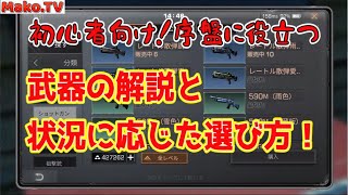 【ライフアフター】初心者向け！武器解説と序盤のおすすめ武器！【曙光の導く者】【Lifeafter】【明日之后】【混沌の城】