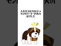 【犬に関する豆知識】救助犬の話