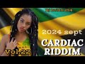 REGGAE RIDDIM MIX VOL.22(DJ BRIAN 254)BUSY SIGNAL/CHRIS MARTIN/CECIL//2024 MIX..............