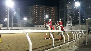 川崎競馬場コスプレ誘導馬さん