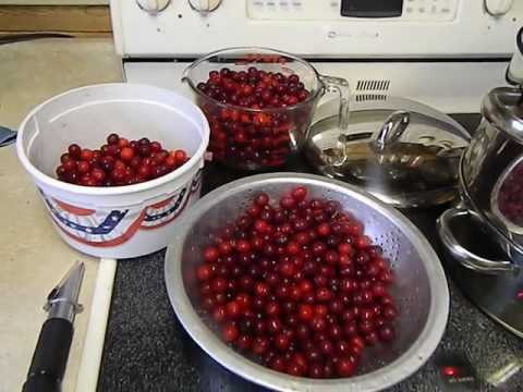 Carmine Jewel Dwarf Sour Cherry steamer juicer and final products Carmine Jewel Dwarf Sour Cherry steamer juicer and final products