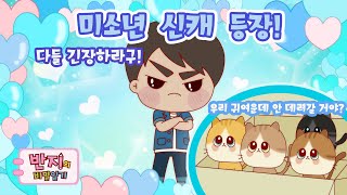 새로운 미소년의 등장!!| 반지 시즌3 5화 | 시즌3 보기 | 애니메이션 | 반지의비밀일기3