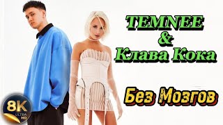 TEMNEE и КЛАВА КОКА _ БЕЗ МОЗГОВ. 8K ULTRA HD VIDEO ПРИРОДА.