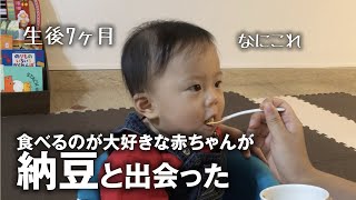 【生後7ヶ月】初めて納豆と遭遇した赤ちゃんの可愛すぎる反応