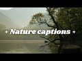 Short nature captions | Aesthetic nature captions for instagram | Nature caption english