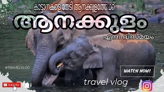 കാട്ടാനകളെ തേടിയുള്ള യാത്ര🦣 Anakulam-The land of Wild Elephants Mankulam Idukki 🐘Jsaiyan46travel